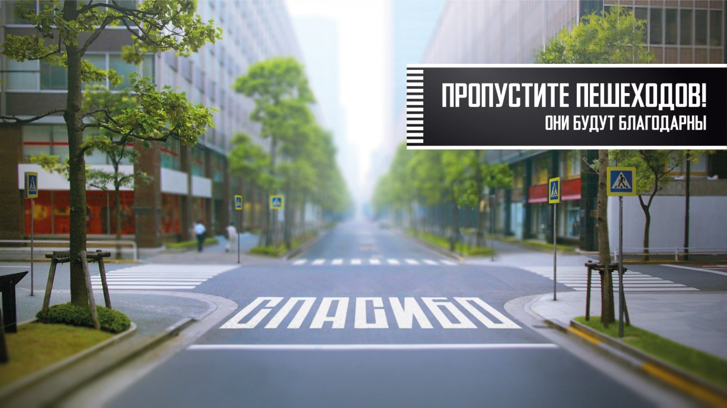 Пешеход.jpg